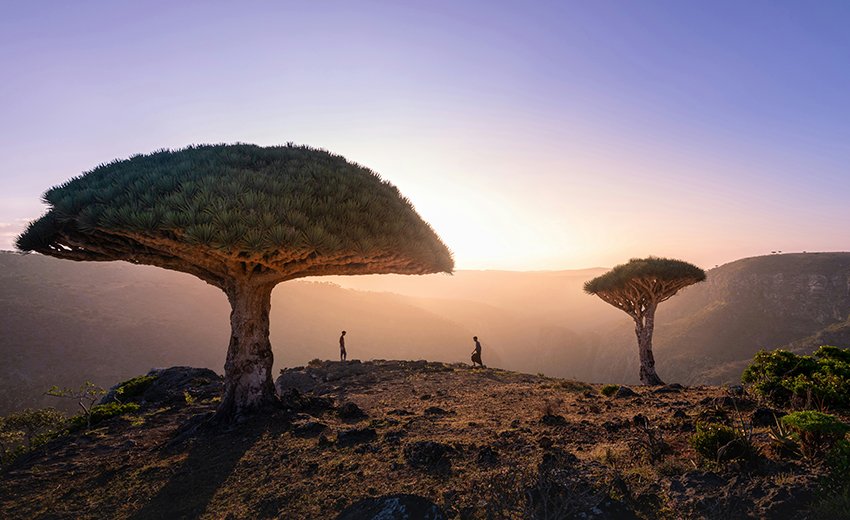 Yemeni Landscapes