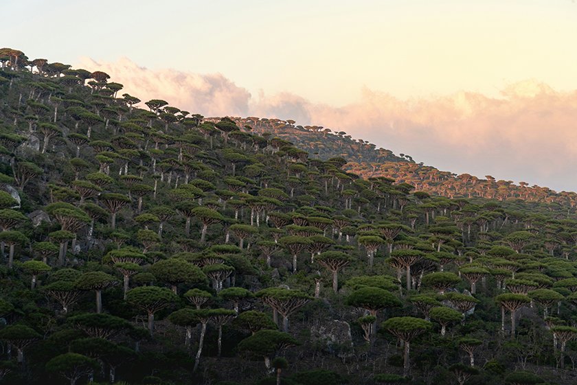 Yemeni Landscapes